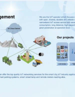 Smart City Management